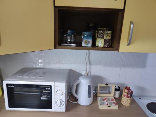 a microwave sitting on a counter in a kitchen at Apartman - GOLEMI MOST in Pirot
