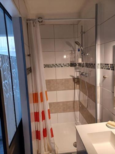 a bathroom with a shower and a sink at Studio neuf confortable à 10 min à pied de la gare in Nîmes