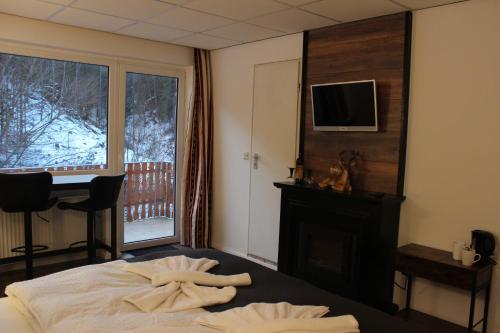 a bedroom with a bed with a fireplace and a television at Waldpension Pfeiferhaus in Warmensteinach