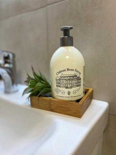 a bottle of soap sitting on top of a bathroom sink at Ferienwohnung Eislingen in Eislingen