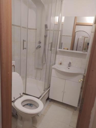 een badkamer met een toilet, een douche en een wastafel bij Apartament Bulevardul Oltenia in Craiova