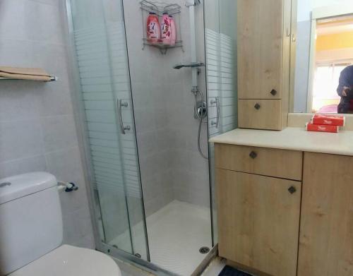 y baño con ducha, aseo y lavamanos. en Kosher 'Villa Rosa' Moshav Aderet, Ella Valley nr Bet Shemesh en Adderet