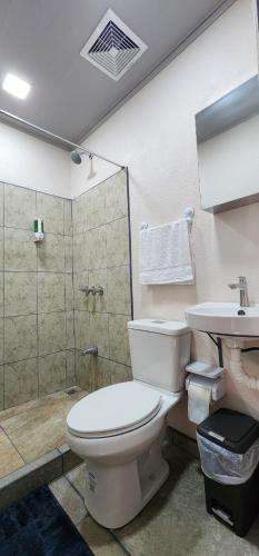 ein Bad mit einem WC, einer Dusche und einem Waschbecken in der Unterkunft La Casa del Rualdo in Dulce Nombre