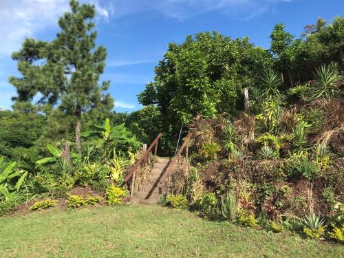 a set of stairs leading up a hill with trees at Tranquility Estate in Kingston