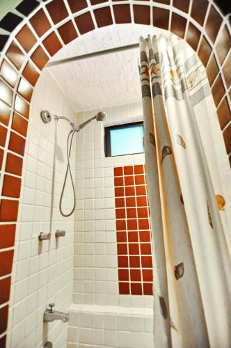 a bathroom with a shower and a shower curtain at Beachfront condo in Los Cabos, Mexico in San José del Cabo