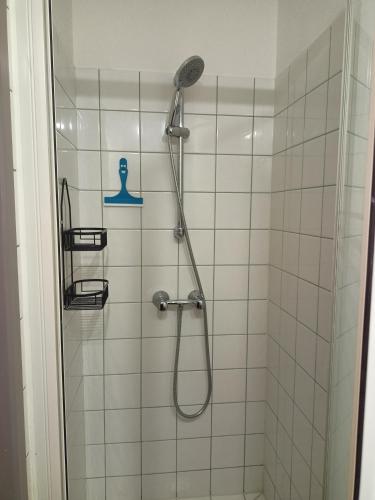 une douche avec pommeau de douche dans une salle de bain dans l'établissement Appartement centre, à Aire-sur-lʼAdour