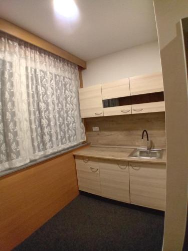 una pequeña cocina con fregadero y ventana en Hotel zimní stadion Slaný en Slaný
