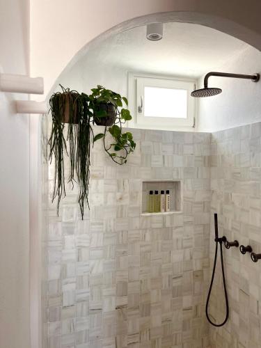 a bathroom with a plant hanging from a wall at ROMEO AND JULIO SUMMER HOUSE in Mýkonos City