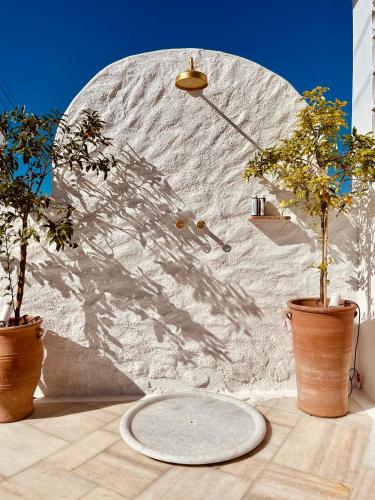 a wall with two potted plants on a table at ROMEO AND JULIO SUMMER HOUSE in Mýkonos City