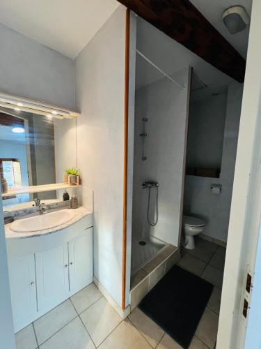 une salle de bain avec un lavabo, une douche et des toilettes dans l'établissement Studios à Valence, Drôme, à Valence