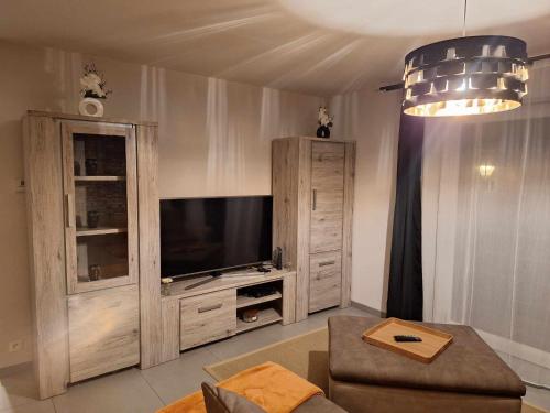 uma sala de estar com um grande centro de entretenimento e uma televisão em Résidence d'Angelo em Huy