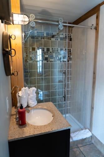 a bathroom with a sink and a shower at Albert's in Shelburne