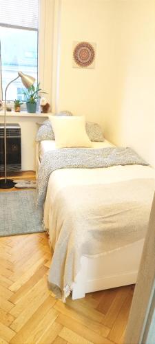 Warm room in the beautiful Smíchov - Prague