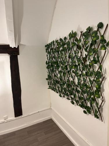 une plante accrochée à un mur dans une pièce dans l'établissement Appartement + Parking privé, à Sainte-Savine