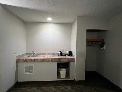 a bathroom with a sink in a room at Country Inn & Suites by Radisson, Battle Creek, MI in Battle Creek