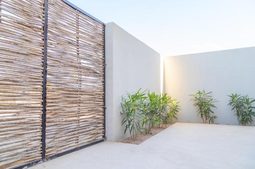 a room with a wooden door with plants at Cerritos Surf Town - Beach Front Property in El Pescadero