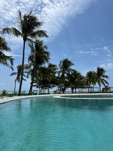a swimming pool with palm trees on the beach at Naluum Milagres in Passo de Camarajibe