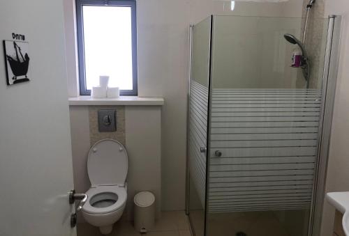 ein Bad mit einem WC und einem Fenster in der Unterkunft סוויטת מגידו in Midrakh ‘Oz