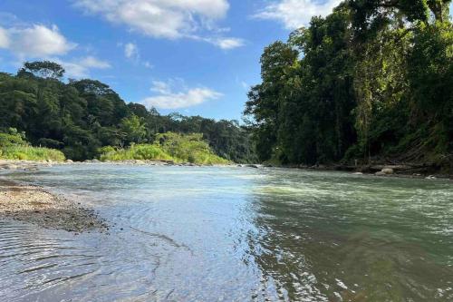 vistas a un río con árboles en el fondo en Cabaña acogedora cerca del río, en Naranjito