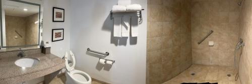 a bathroom with a shower and a toilet and a sink at Country Inn & Suites by Radisson, Battle Creek, MI in Battle Creek
