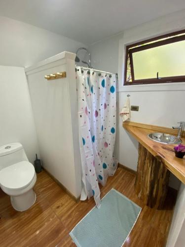 a bathroom with a toilet and a sink at Cabañas Ladera Sur in Melipeuco