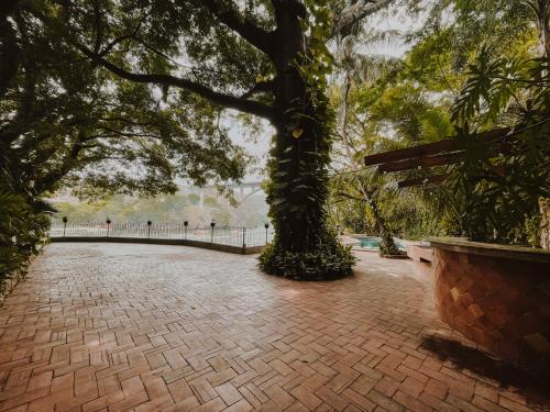 a tree in the middle of a brick road at Las Haditas in Chiapa de Corzo