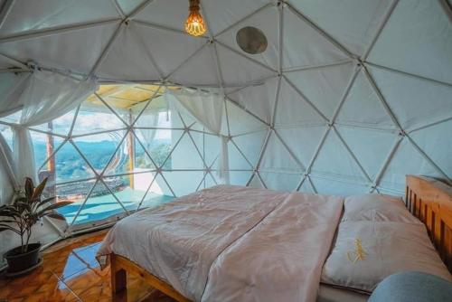 a room with a bed in a dome tent at ไร่ดอยช้าง ม่อนเเจ่ม in Mon Jam