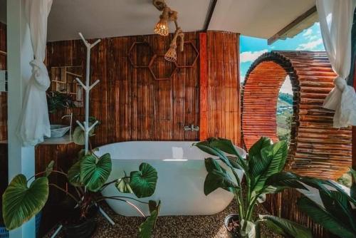 ein Bad mit einer Badewanne mit Pflanzen in der Unterkunft ไร่ดอยช้าง ม่อนเเจ่ม in Mon Jam