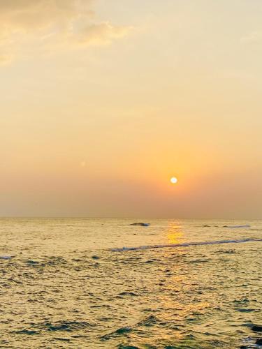 Surfing Waves Madiha – Photos 4