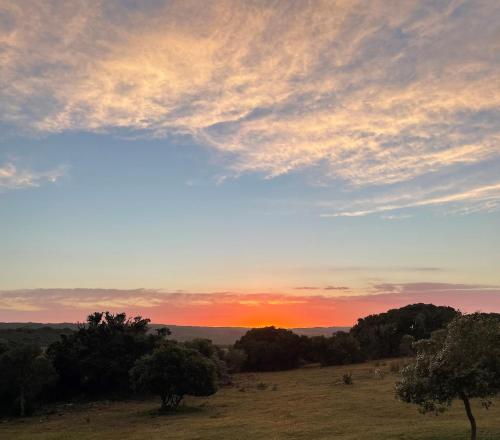 a sunset over a field with trees in a field at Baardbos Private Game Reserve in Stilbaai