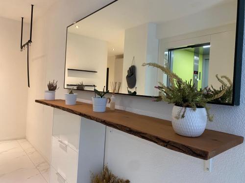 a bathroom with a mirror and potted plants on a counter at Attika Loft Wohnung 3.5 Zi. 110m2 Neu Bau in Obergösgen