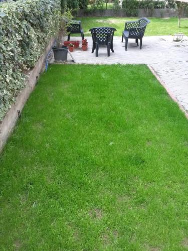 宿泊客と一緒にGarden Vilaに滞在中のペット