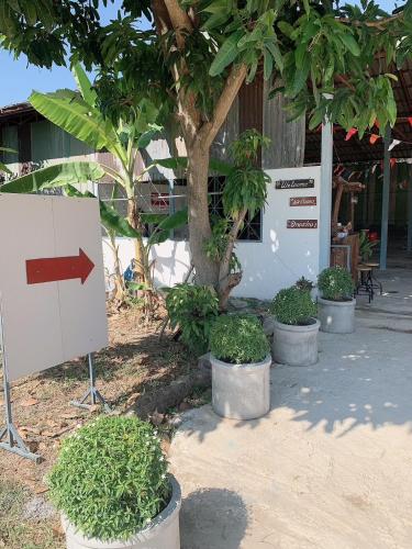 a group of potted plants sitting next to a tree at KHUN CHUAT'S HOUSE in Ban Nong Ben