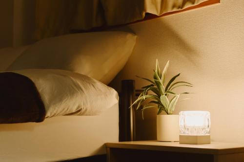a plant sitting on a table next to a pillow at Evergreen Apartment Hotel in Tokyo