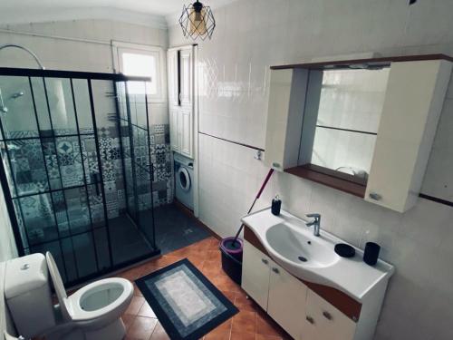 ein Bad mit einem WC, einem Waschbecken und einer Dusche in der Unterkunft Luxury PentHouse İn Antalya in Antalya