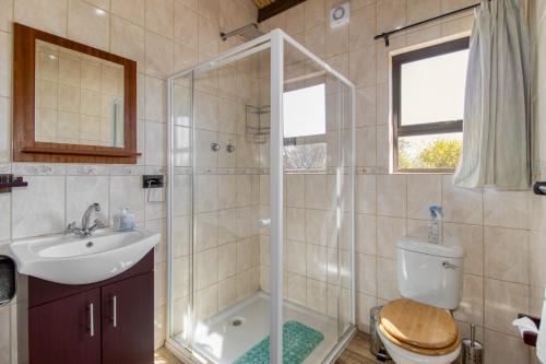 a bathroom with a shower and a toilet and a sink at Abendruhe Lodge in Pretoria