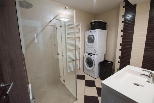 un bagno con lavatrice e lavandino di Apartma Katja a Škofja Loka