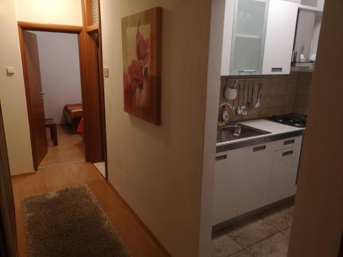 Jees Exclusive Apartments Hvar في ستاري غراد: مطبخ مع دواليب بيضاء ومغسلة
