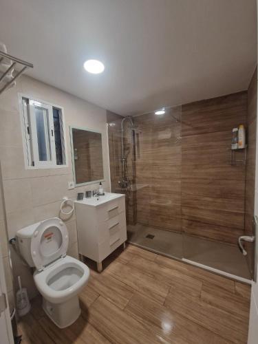 a bathroom with a toilet and a shower and a sink at Vivienda Turística en la Muralla de San Basilio in Córdoba