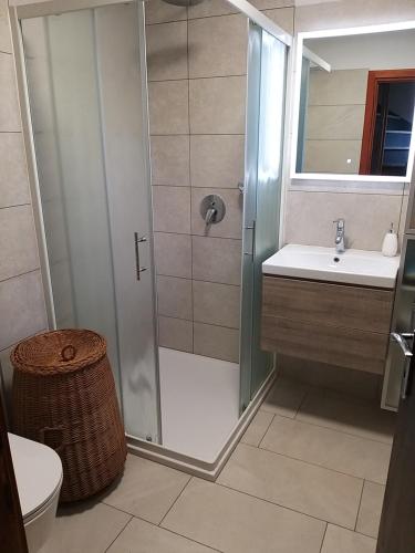 a bathroom with a shower and a sink and a toilet at Holiday Home NA VASI in Gorenja Vas