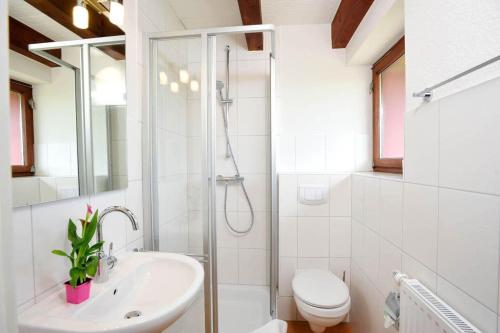 ein Bad mit einer Dusche, einem WC und einem Waschbecken in der Unterkunft Ferienwohnung-Nr-287 in Böhl