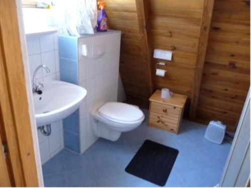 a bathroom with a white toilet and a sink at Ferienhaus Finnhütte in Zinnowitz