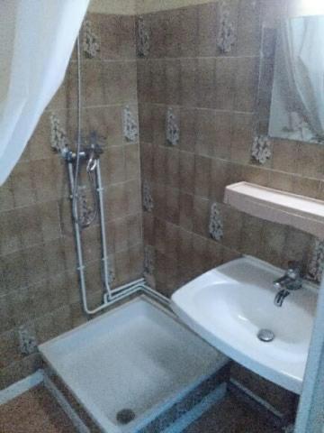 a bathroom with a shower and a sink at Cap Verb Guillestre in Guillestre