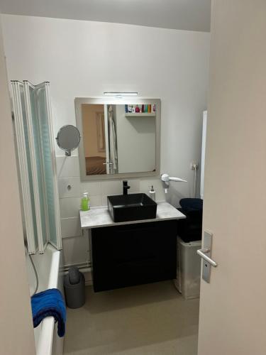 une salle de bain avec un lavabo noir et un miroir dans l'établissement Appt entier MONPARNASSE avec TERRASSE et PARKING, à Paris