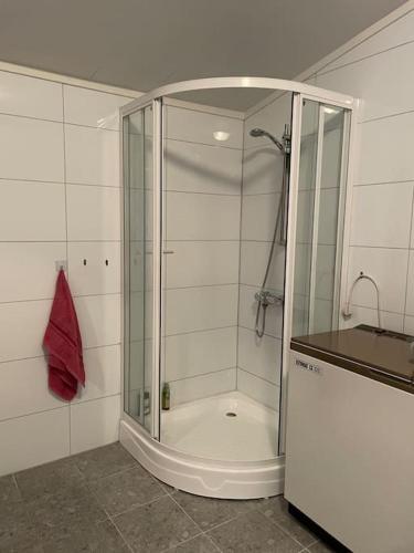 W łazience znajduje się prysznic ze szklanymi drzwiami. w obiekcie Fritidsbolig i Flå sentrum w mieście Flå