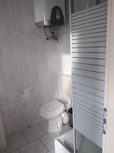 a white bathroom with a toilet and a shower at NEU! See-Ferienwohnung 2 in Großmöhlau