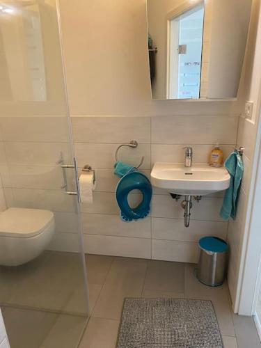 a small bathroom with a toilet and a sink at Ferienwohnung mit Blick auf den Feldberg in Weilmünster