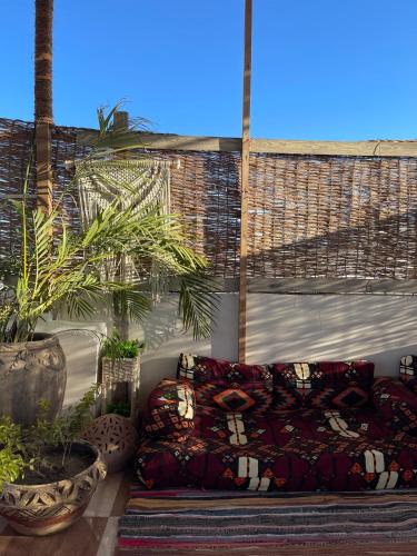 a couch sitting on a patio with potted plants at La Casa Guest House in Marsa Alam City