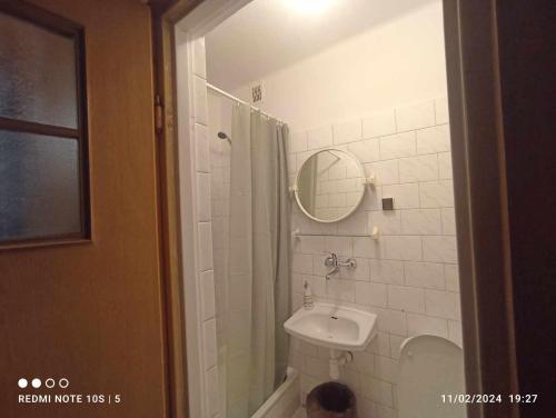 a bathroom with a sink and a toilet and a shower at Green House in Wola Przypkowska
