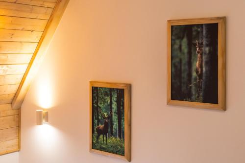 two paintings of a deer on a wall at B&B Plitvice Queen in Plitvička Jezera